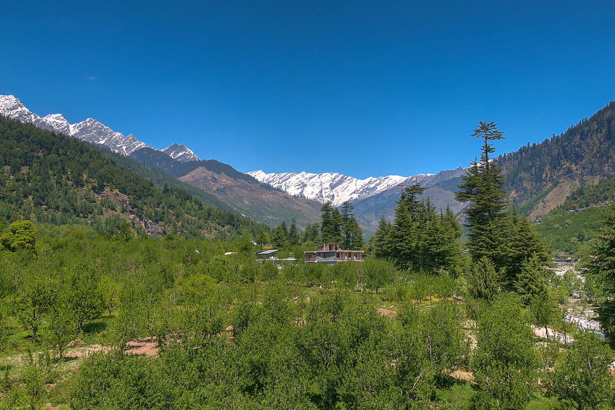 Treebo Trend Celebriti Manali Otel Vashist Dış mekan fotoğraf